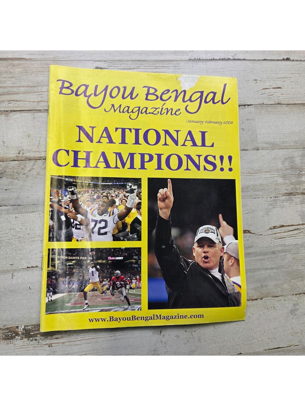 Bayou Bengal Magazine January-February 2008 National Champions Issue